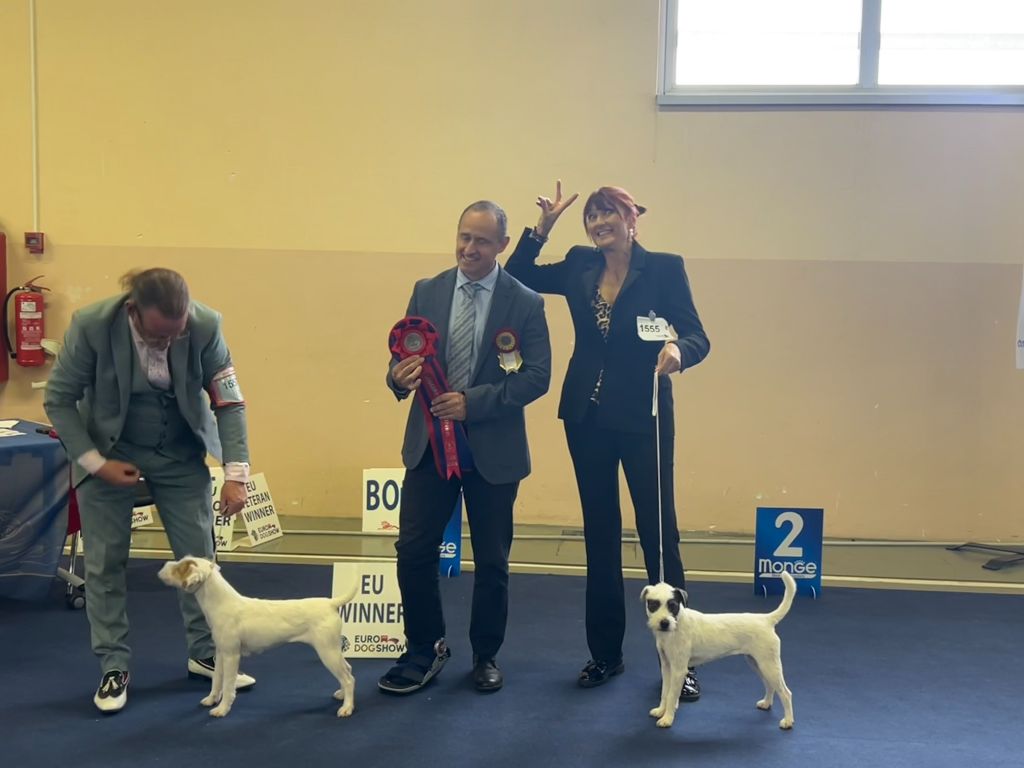 des very important Parson - Saucisse gagne le Cac et RCacib du championnat d'Europe