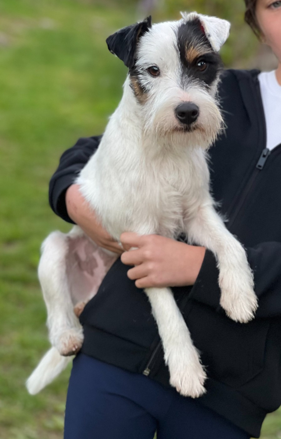 des very important Parson - les premiers bébés ardéchois prévus pour début décembre