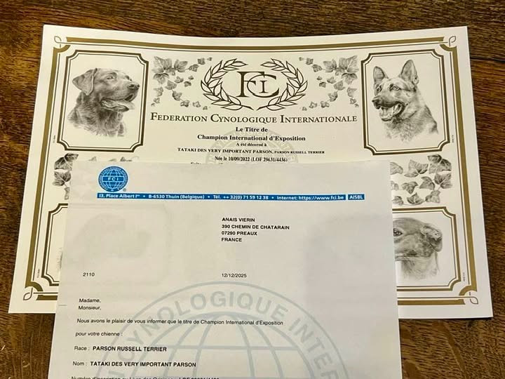 des very important Parson - Tataki est championne internationale