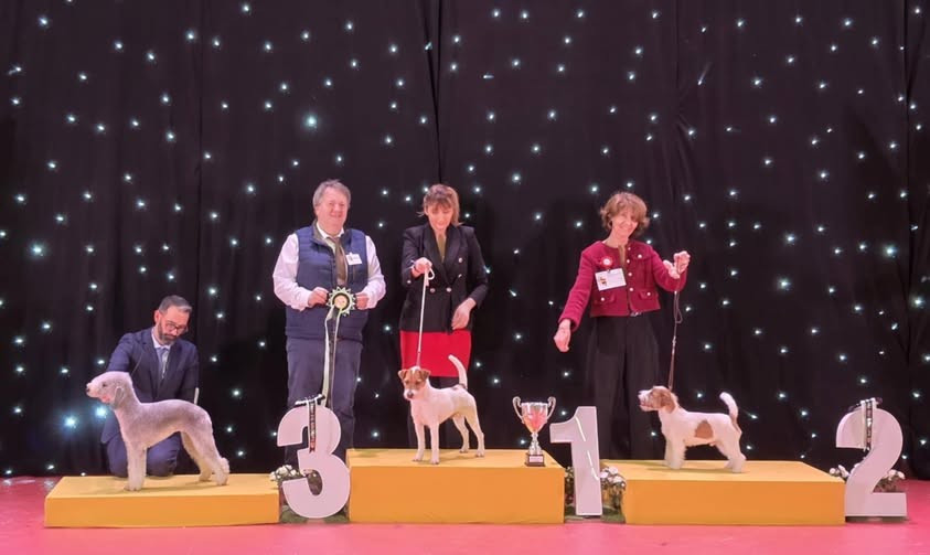 des very important Parson - spéciale de race Perpignan