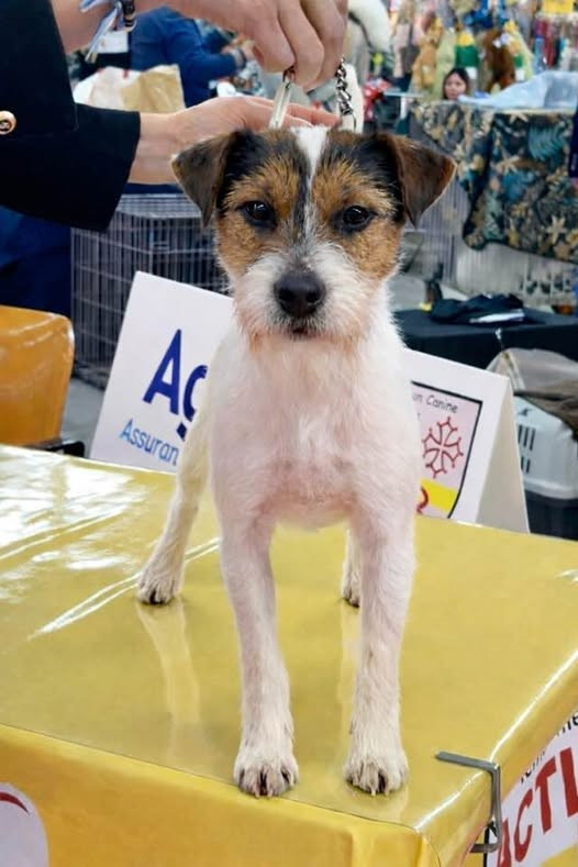 des very important Parson - Vénus des VIP est confirmée