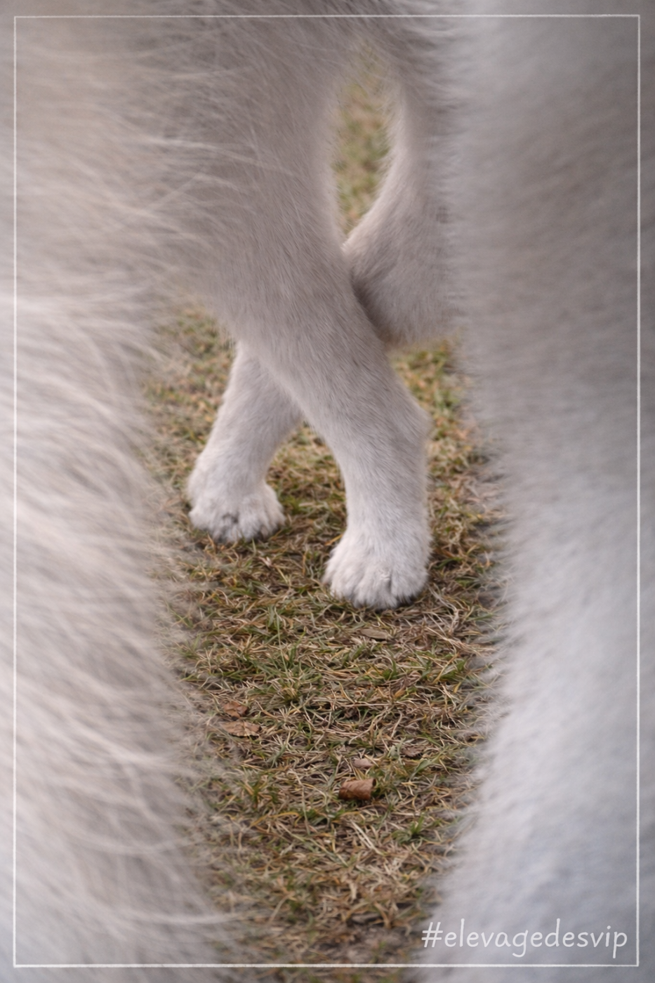 des very important Parson - Des bébés pour le mois d'Avril