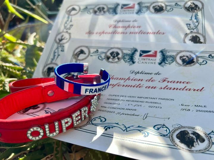 des very important Parson - OUPER CHAMPION DE FRANCE