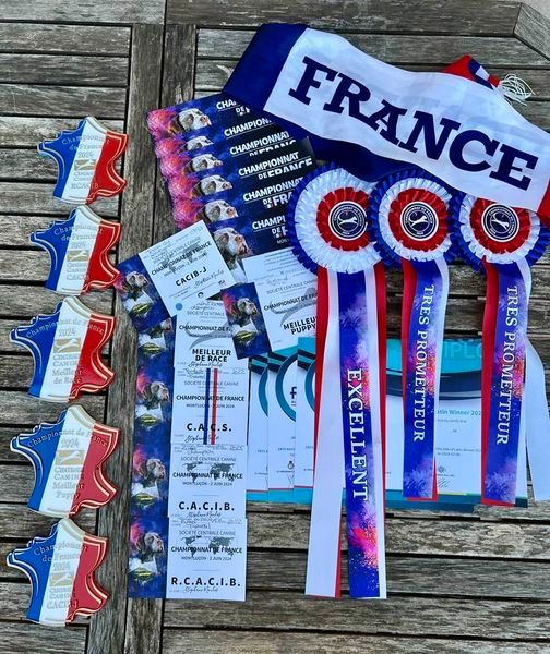 des very important Parson - championnat de France 2024