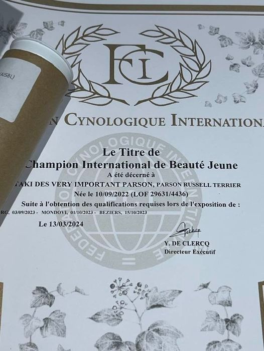 des very important Parson - tataki des VIP est championne internationale jeune